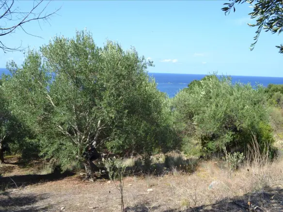 Land In Corfu, Greece