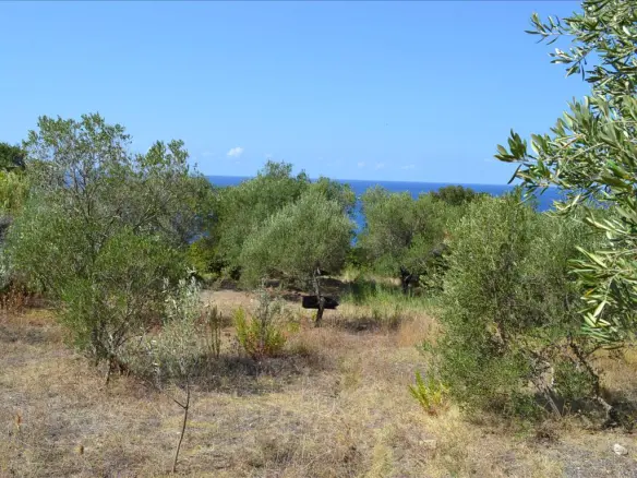 Land In Corfu, Greece