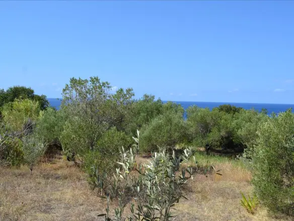 Land In Corfu, Greece