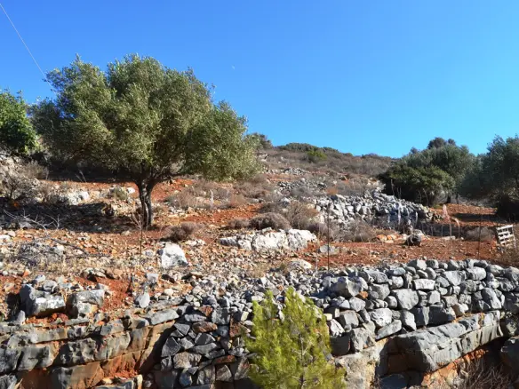 Land In Agios Nikolaos, Greece