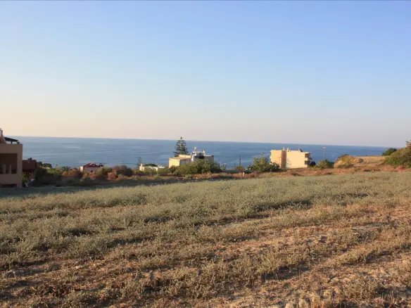 Land In Arkadi, Greece (25.000 M²)