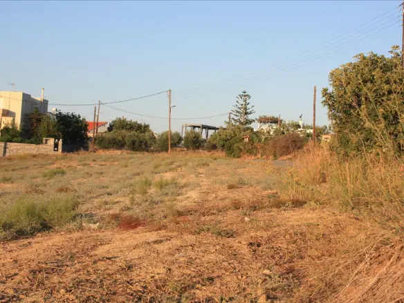 Land In Arkadi, Greece (25.000 M²)
