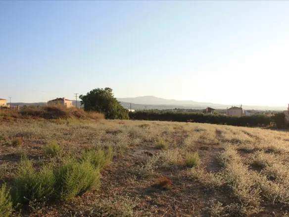 Land In Arkadi, Greece (25.000 M²)