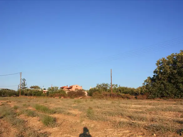 Land In Arkadi, Greece (25.000 M²)