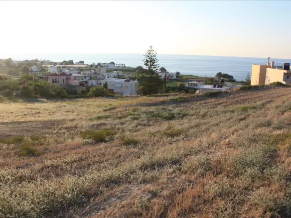 Land In Arkadi, Greece (25.000 M²)