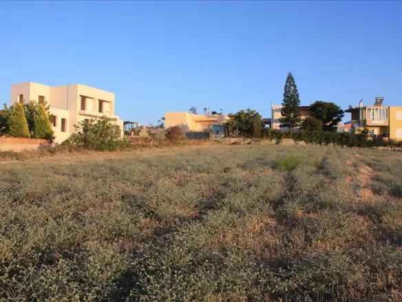 Land In Arkadi, Greece (25.000 M²)