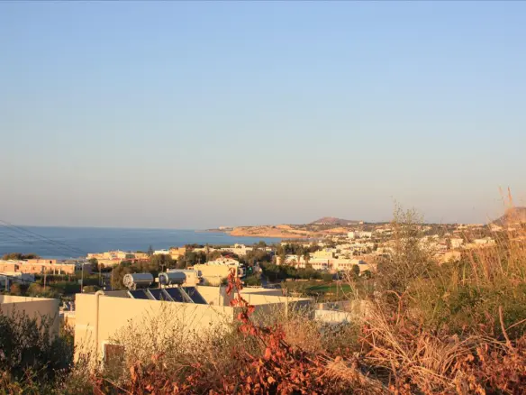 Land In Arkadi, Greece (25.000 M²)