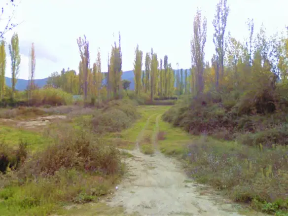 Land In Sithonia, Greece