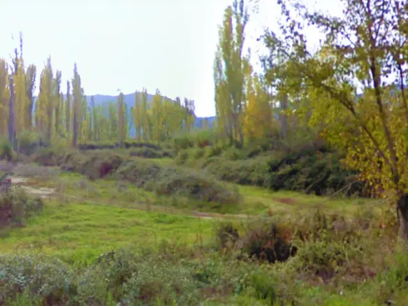 Land In Sithonia, Greece