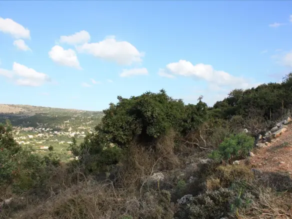 Land In Vamos, Greece