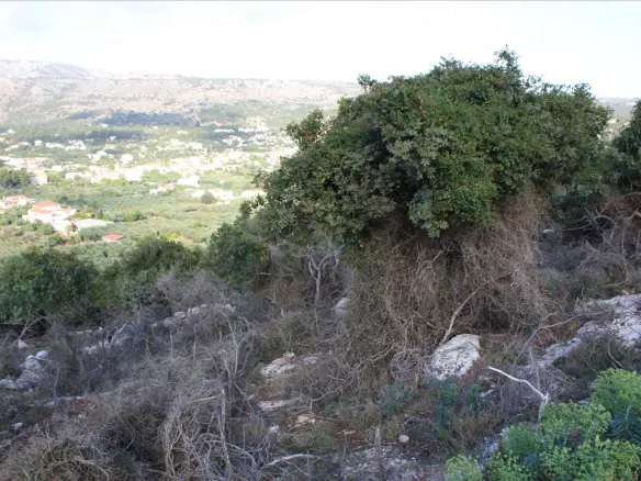 Land In Vamos, Greece