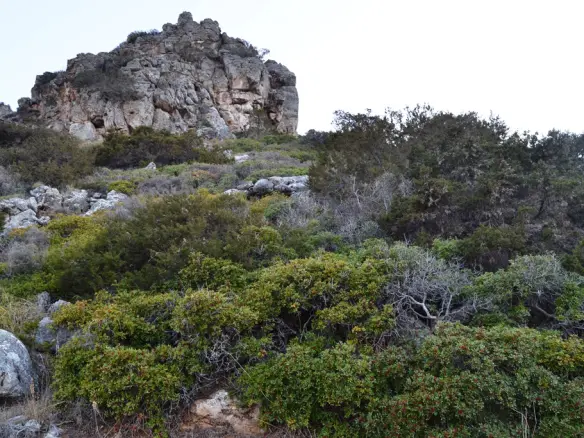 Land In Agios Nikolaos, Greece