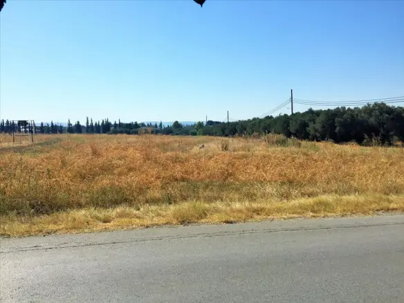 Land In Thermi, Greece