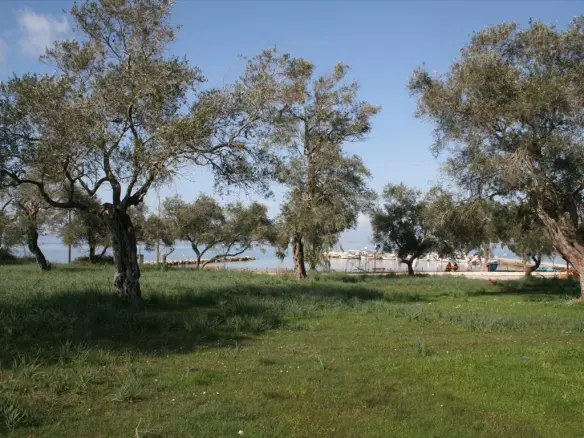 Land In Corfu, Greece