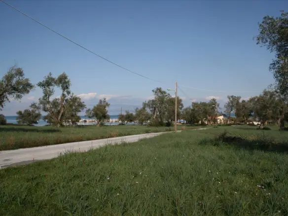Land In Corfu, Greece
