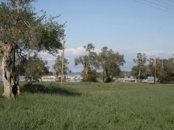 Land In Corfu, Greece