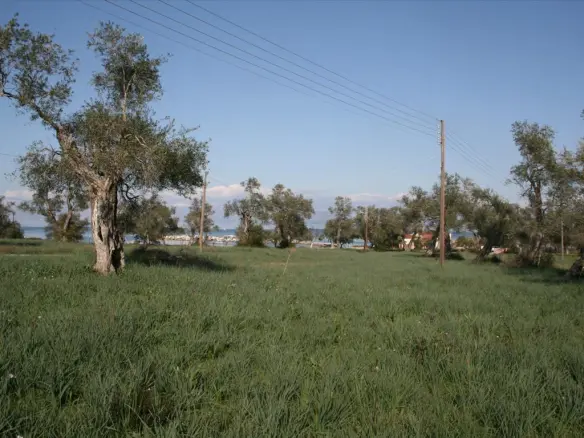 Land In Corfu, Greece