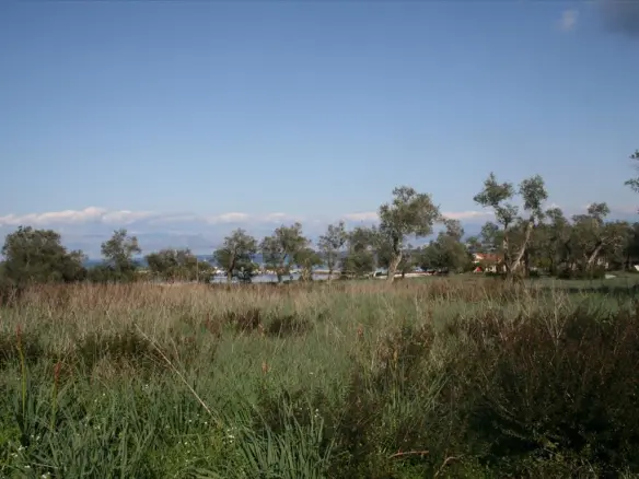 Land In Corfu, Greece