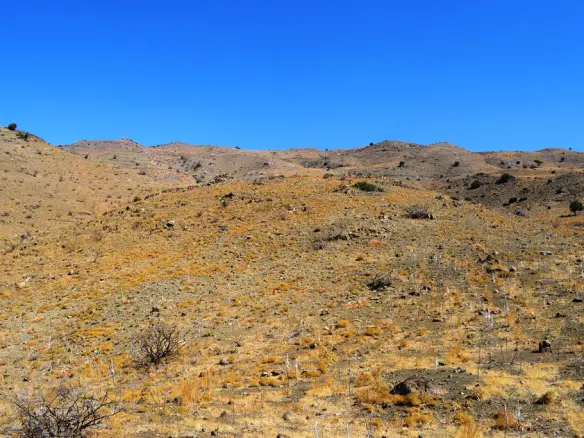Land In Lampi, Greece