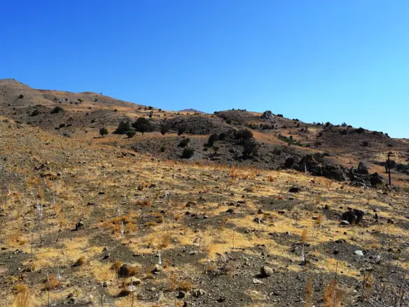 Land In Lampi, Greece