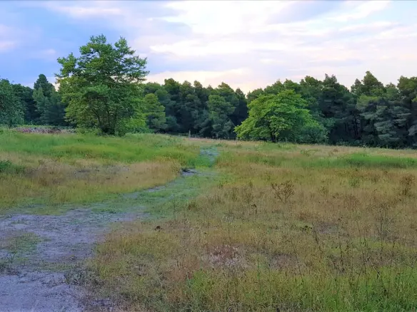 Land In Sithonia, Greece