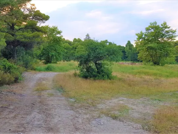Land In Sithonia, Greece