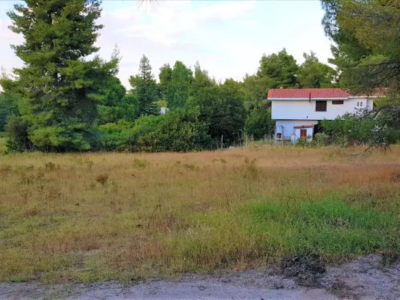 Land In Sithonia, Greece