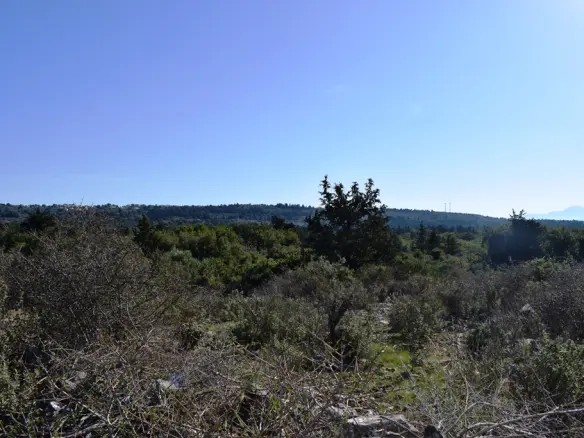 Land In Vamos, Greece