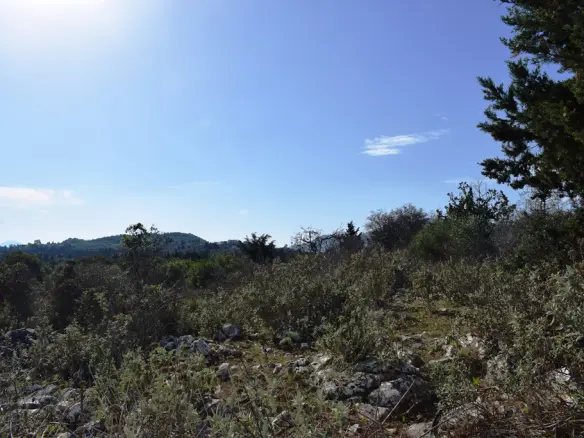 Land In Vamos, Greece