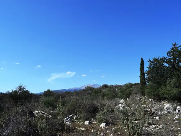 Land In Vamos, Greece
