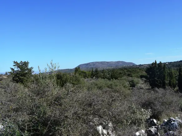 Land In Vamos, Greece