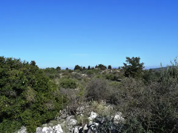 Land In Vamos, Greece