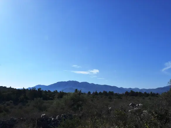 Land In Vamos, Greece
