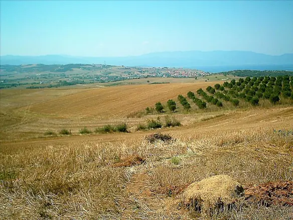 Land In Aristotle, Greece