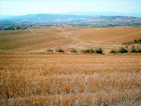 Land In Aristotle, Greece