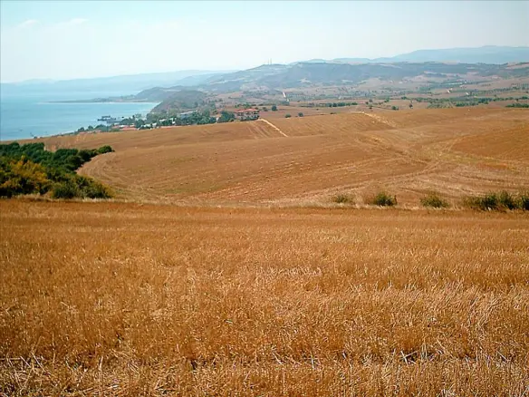 Land In Aristotle, Greece
