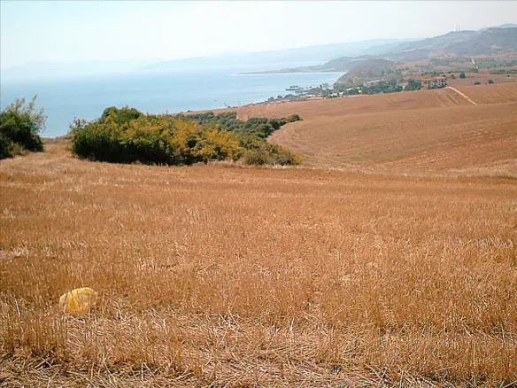 Land In Aristotle, Greece