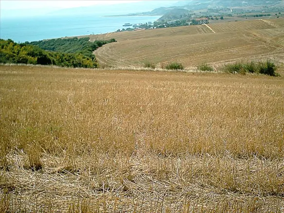 Land In Aristotle, Greece
