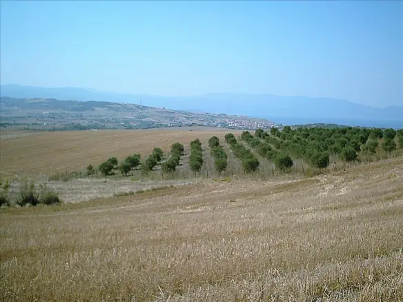 Land In Aristotle, Greece