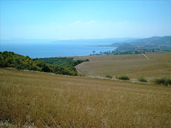 Land In Aristotle, Greece