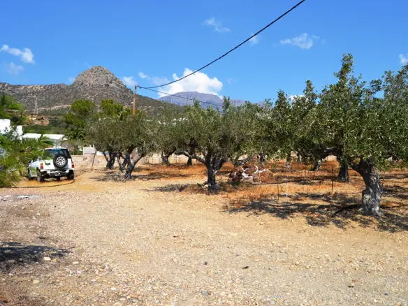 Land In Ierapetra, Greece