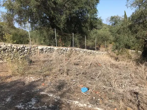 Land In Corfu, Greece