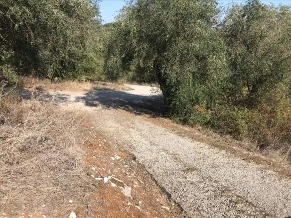 Land In Corfu, Greece