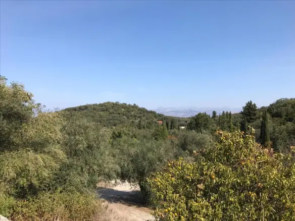 Land In Corfu, Greece