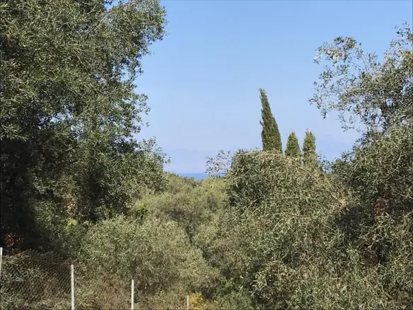 Land In Corfu, Greece