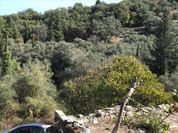 Land In Corfu, Greece