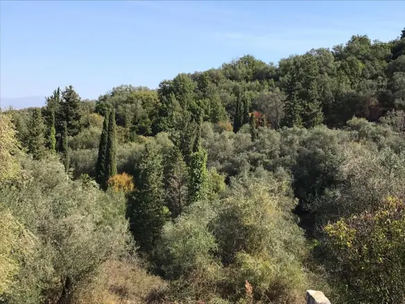 Land In Corfu, Greece