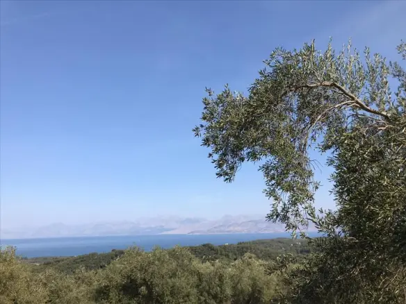 Land In Corfu, Greece