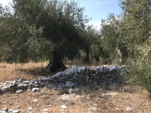 Land In Corfu, Greece