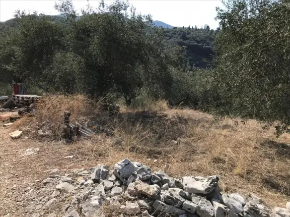 Land In Corfu, Greece